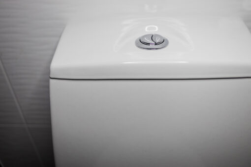 The Truth About Dual-Flush Toilets