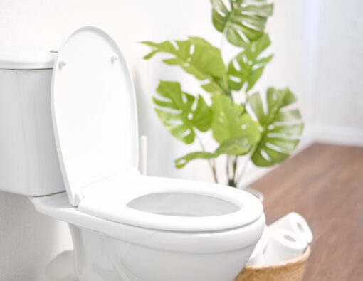 Toilet-Buying Guide in Los Angeles