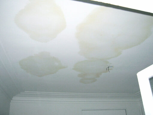 Ceiling leak and electricity cable.